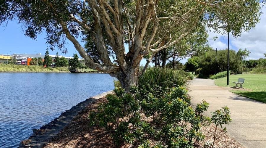 3208/3 Emporio Place, Maroochydore, Maroochydore,  Queensland 4558