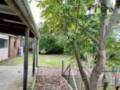 11 Furness Drive, Tewantin, QLD 4565 Australia
